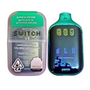 boutiq switch 2g v5