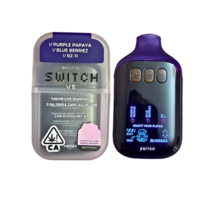 boutiq switch v5 review