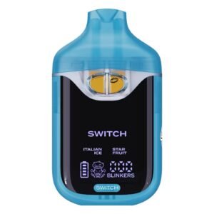 boutiq disposable v4​