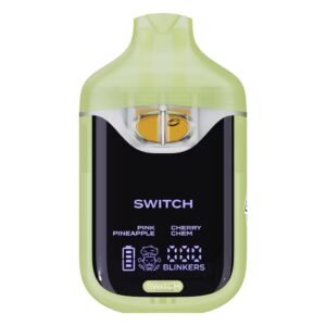 boutiq switch v4 disposable
