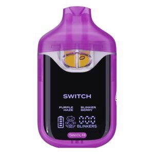 v4 boutiq switch