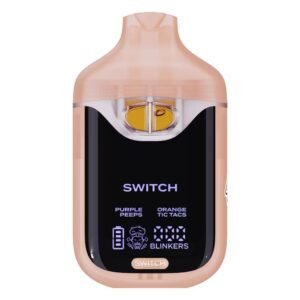 2g boutiq switch v4​