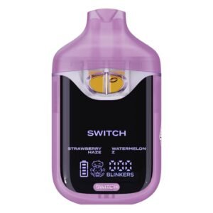 switch boutiq v4